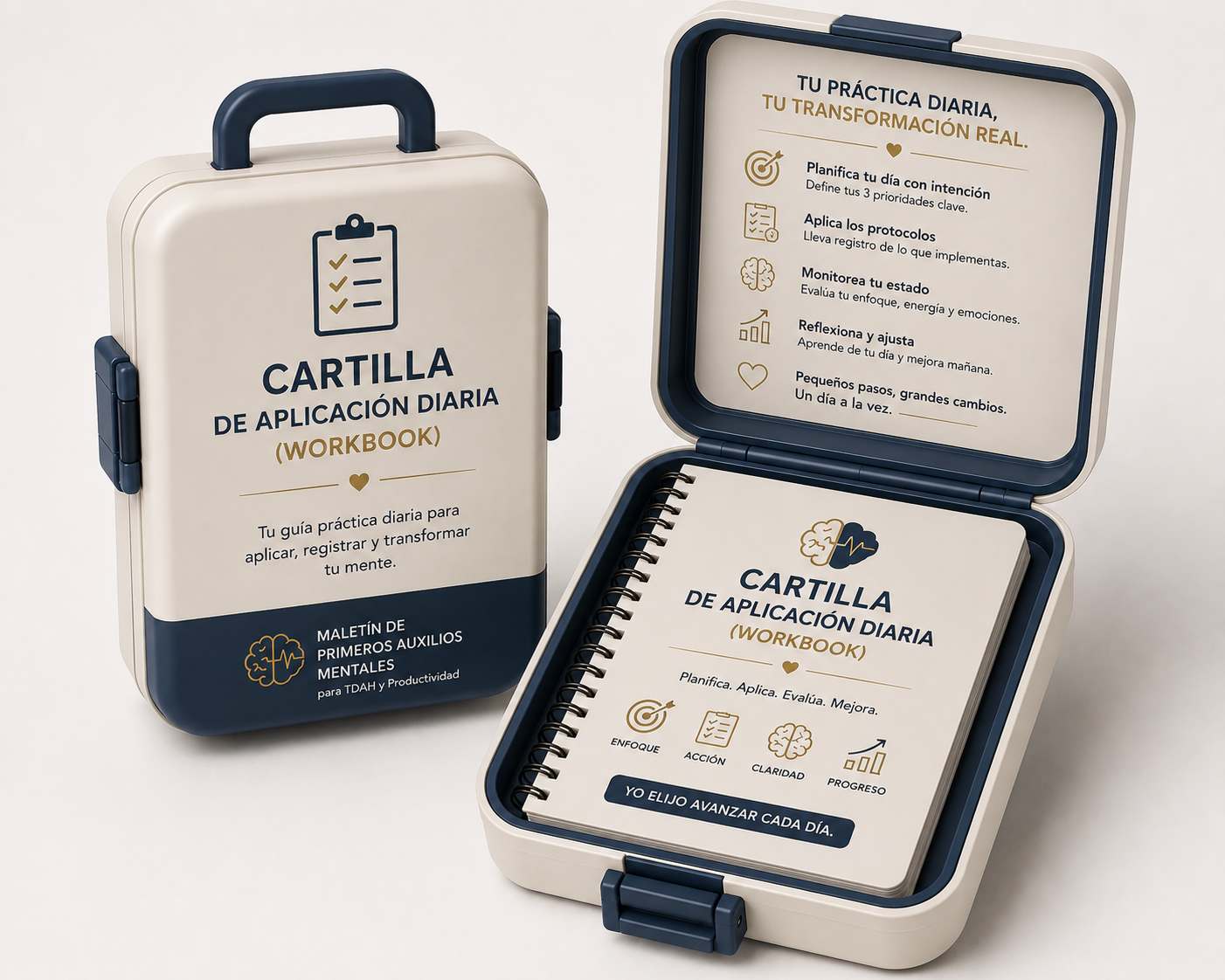 Aplicación Diaria (Workbook)